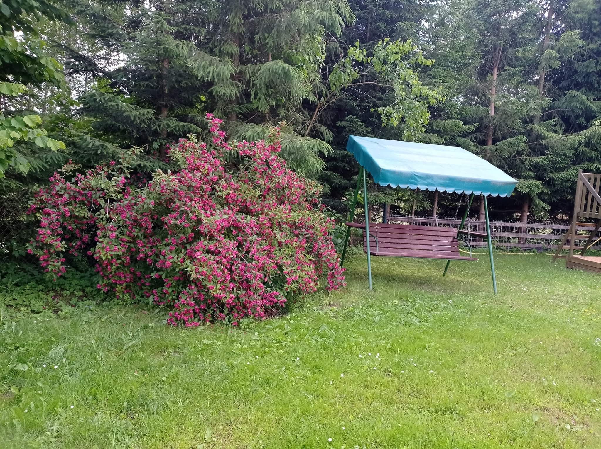 Domek letniskowy nad jeziorem Wałpusz — zdjęcie 3