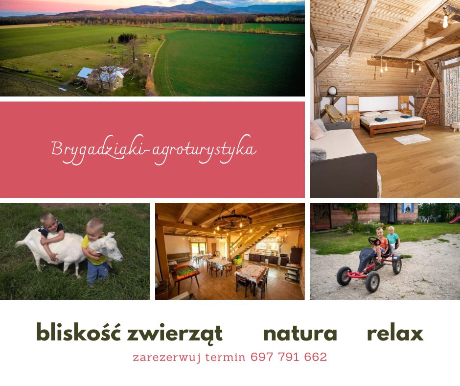 Rodzinna Agroturystyka ze zwierzętami Brygadziaki - duży klimatyczny dom, pokoje, namioty — zdjęcie 1